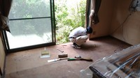 IMG_20190516_100026.jpg